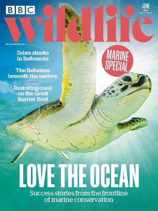 Title details for BBC Wildlife Magazine by Our Media Limited - Available